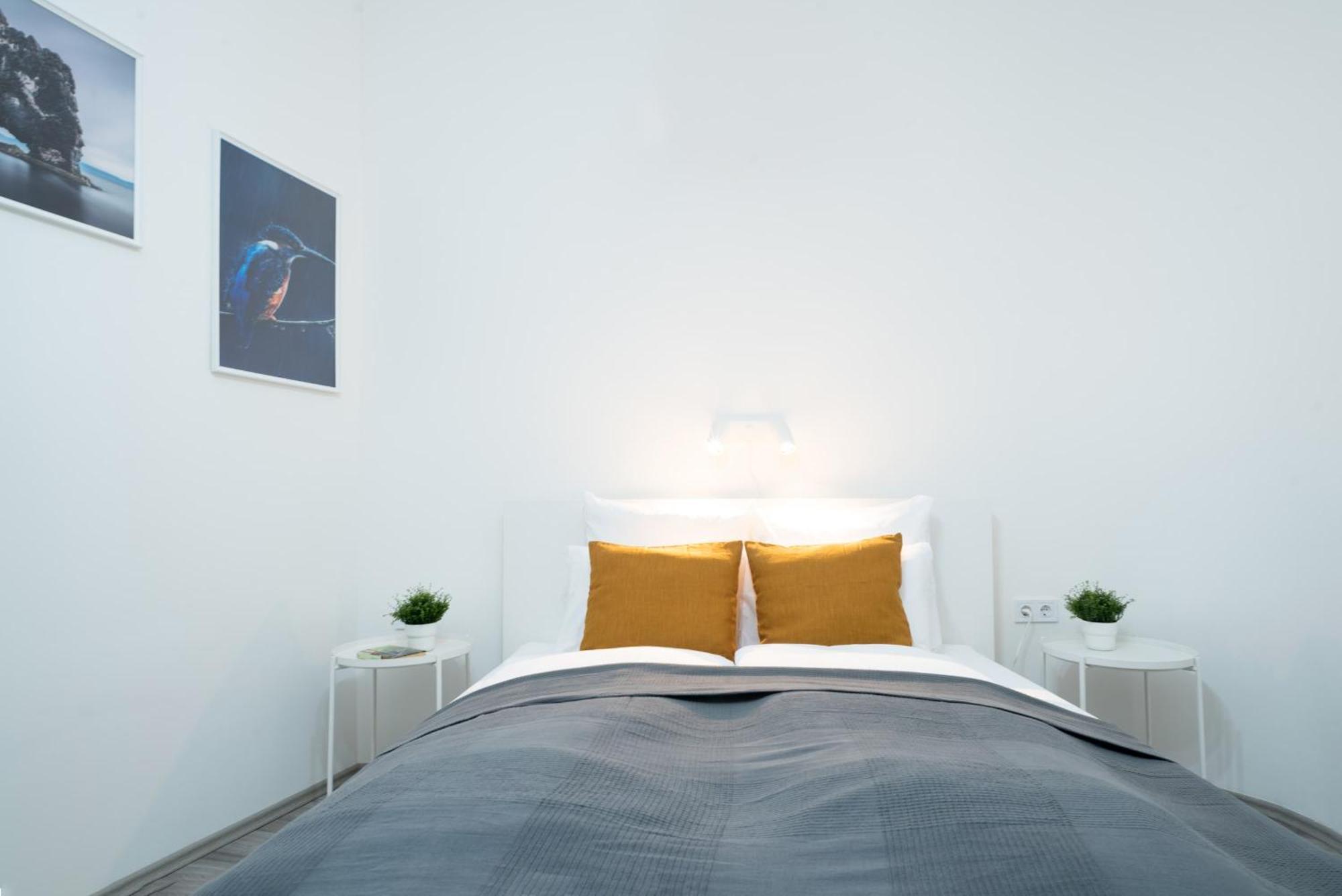 Lovely Studio At Central Location 布达佩斯 外观 照片